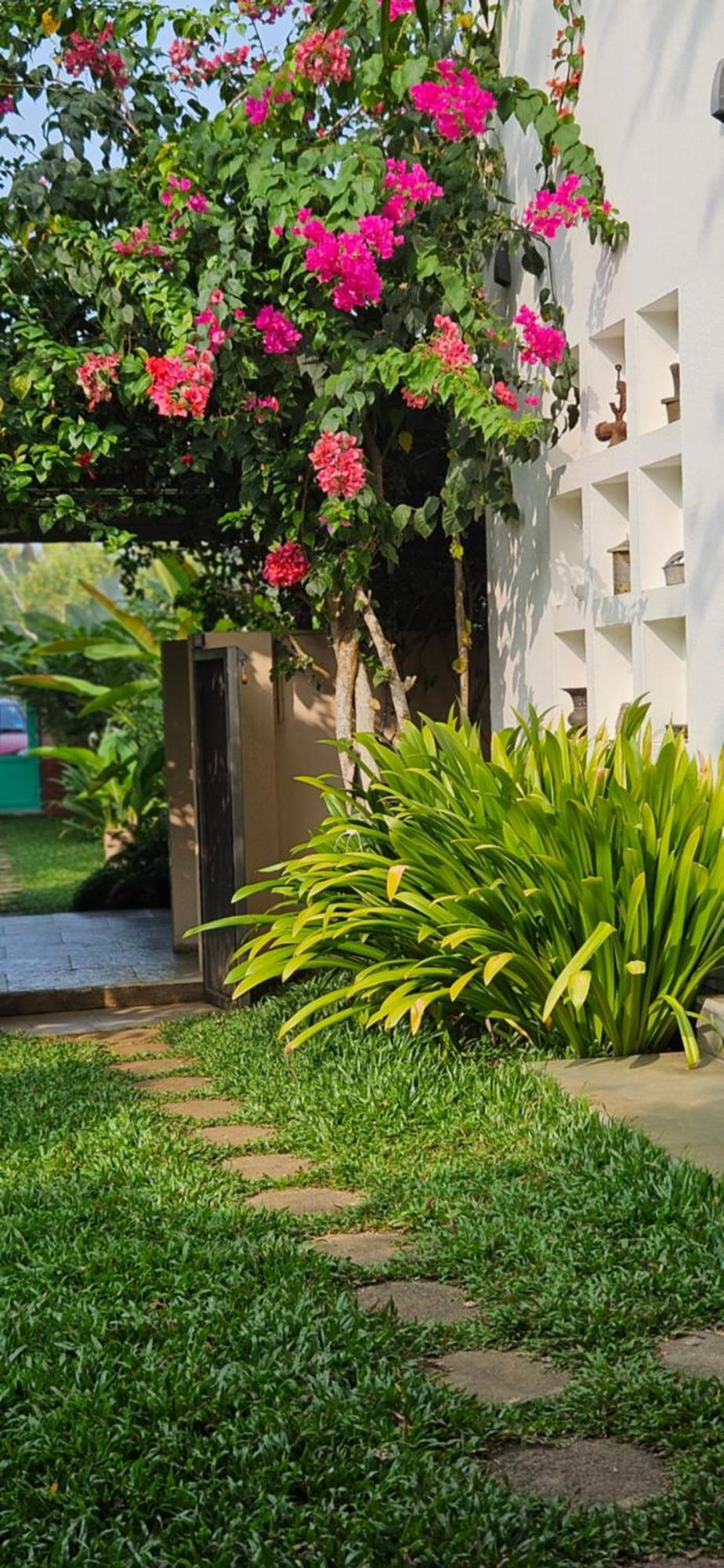 Villa Mia Mararikulam Buitenkant foto