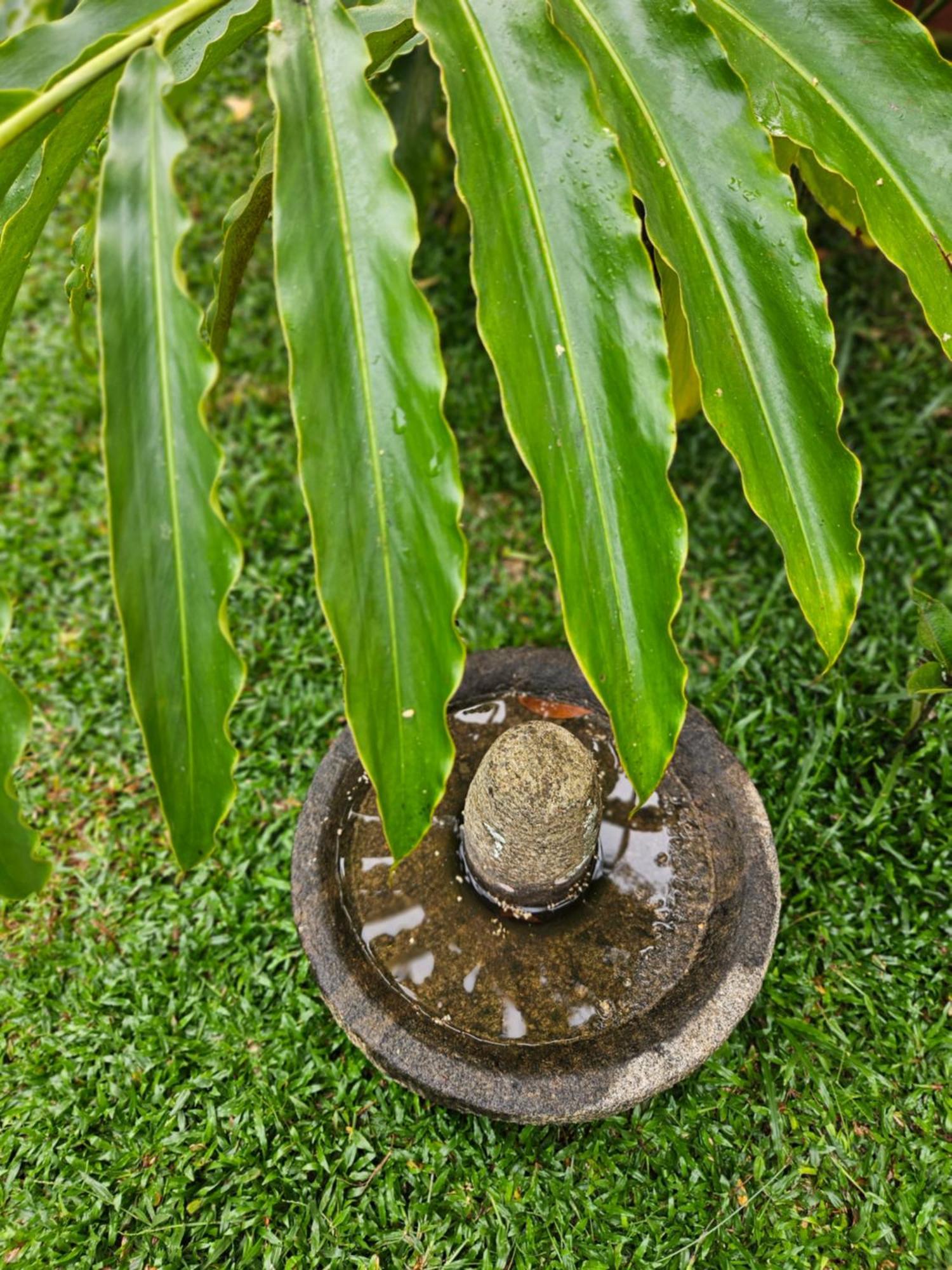Villa Mia Mararikulam Buitenkant foto