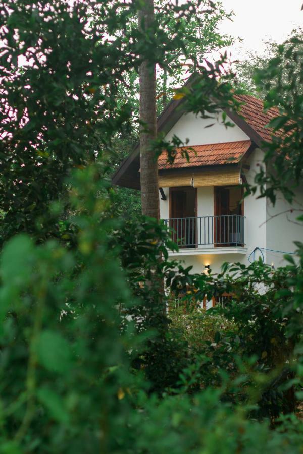 Villa Mia Mararikulam Buitenkant foto