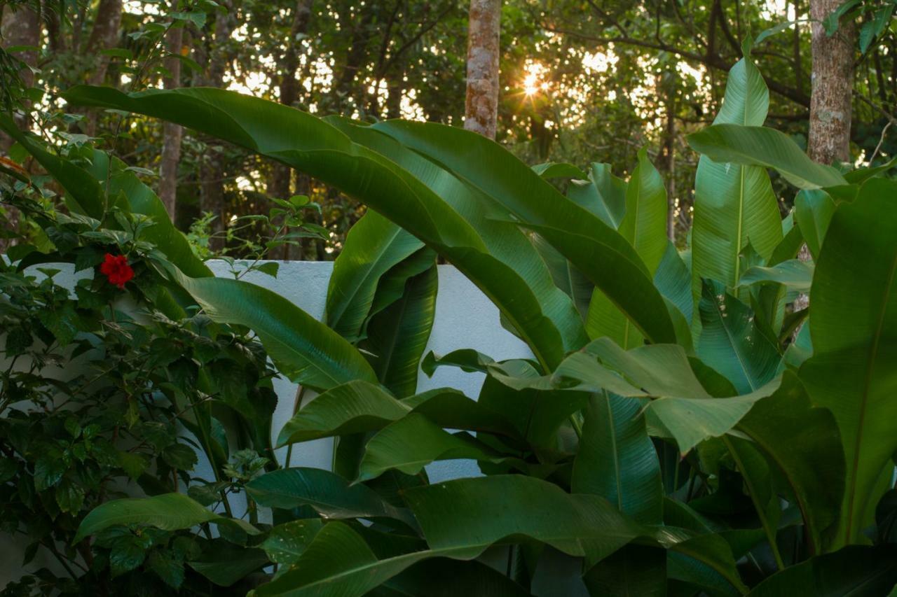 Villa Mia Mararikulam Buitenkant foto